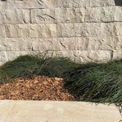 Kamień Marmur Sinai Pearl 30x7x1,2 cm