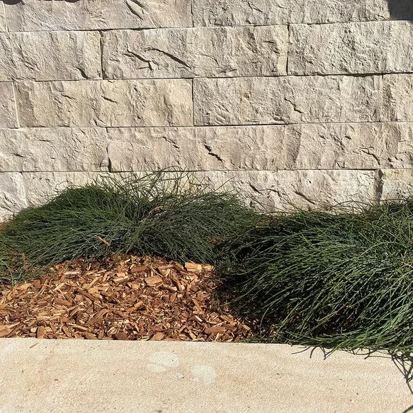 Kamień Marmur Sinai Pearl 30x7x1,2 cm