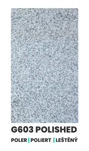 G603-POLER.webp