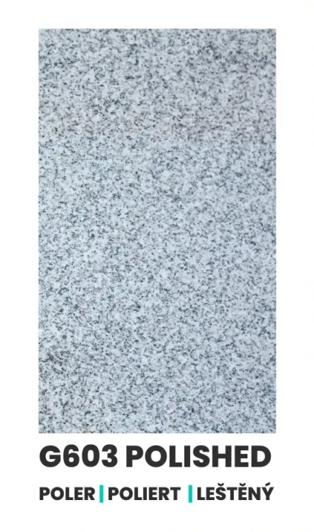 G603-POLER.webp