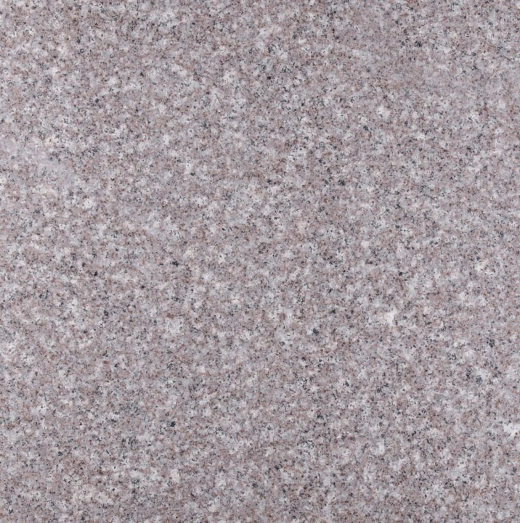 22779