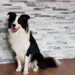 Kamień kwarcytowy stackstone cloud 10x40