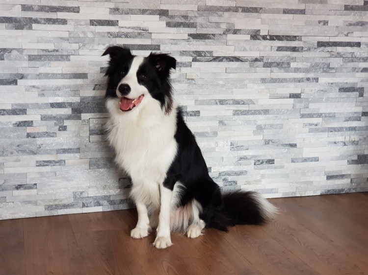 Kamień kwarcytowy stackstone cloud 10x40