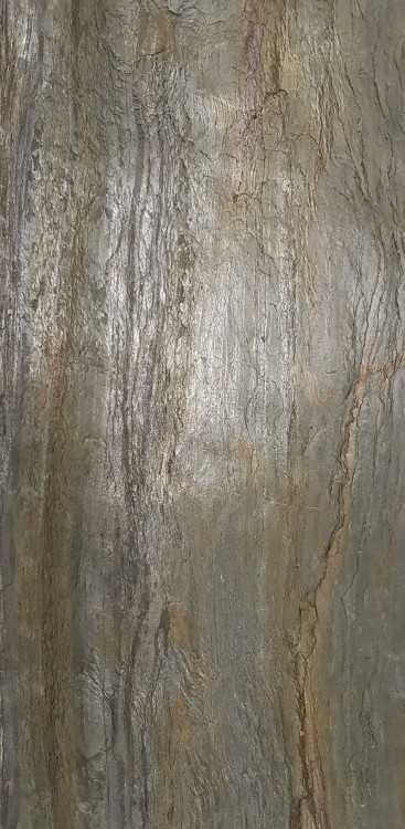 Fornir Kamienny Burning Forest XXL 122x244