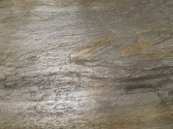 Fornir Kamienny Burning Forest XXL 122x244