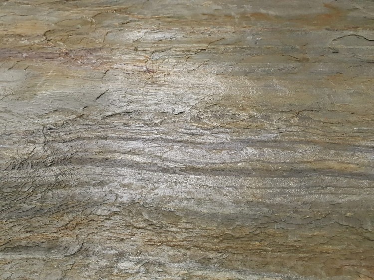 Fornir Kamienny Burning Forest XXL 122x244