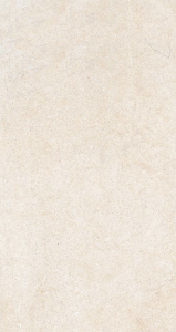 Gres City White Fossil 45x90x2