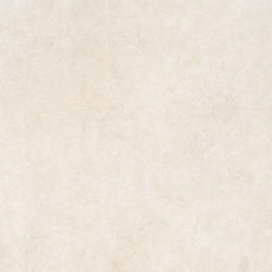 Gres City White Fossil 45x90x2