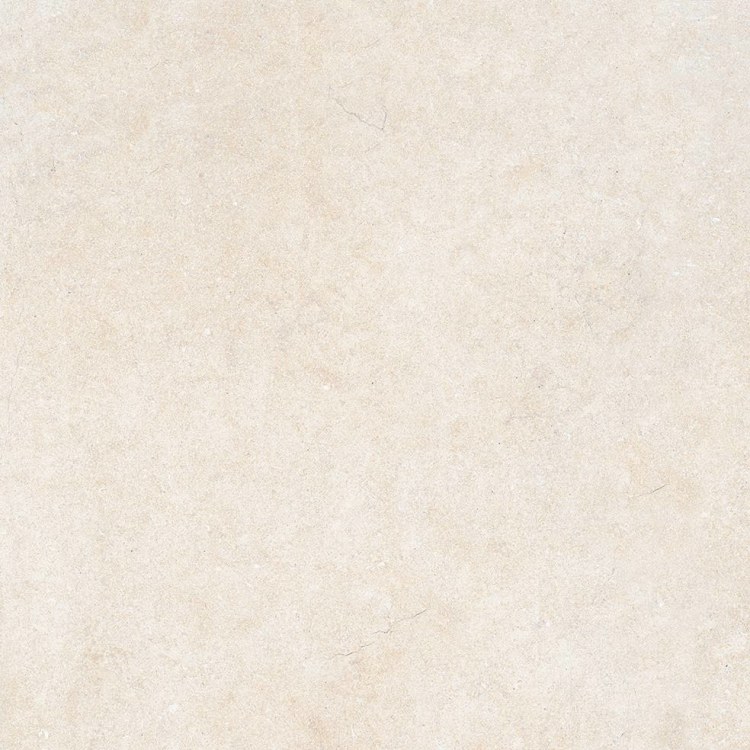 Gres City White Fossil 45x90x2